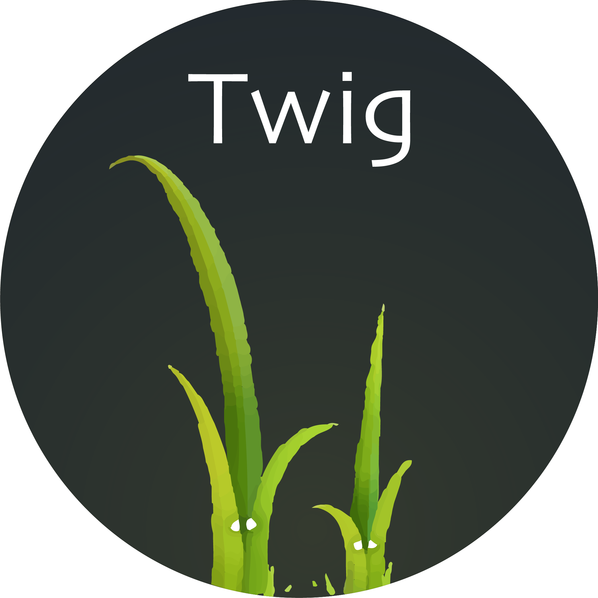 Twig Language Support